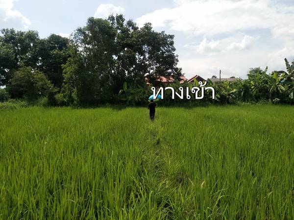ขายที่ดินทำเลดี ใกล้วิทยาลัยเชียงราย มีทางเข้า ถ.เลี่ยงเมือง R3A ตัดผ่าน สนใจโทร 0991693699